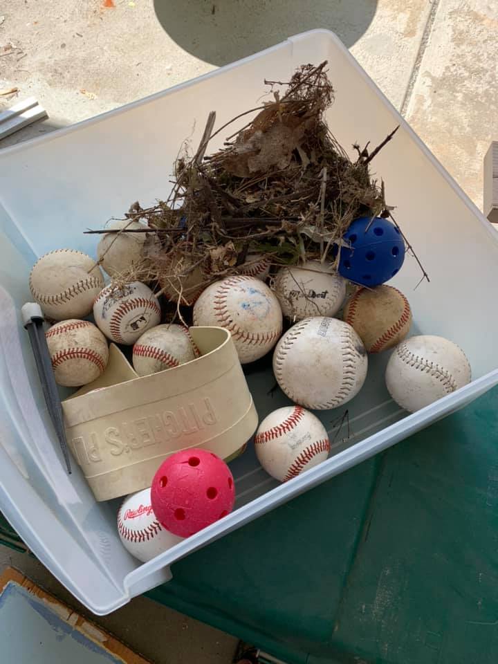 A nest-like pile of twigs and dried plant material built among baseballs and plastic practice balls in a storage bin.