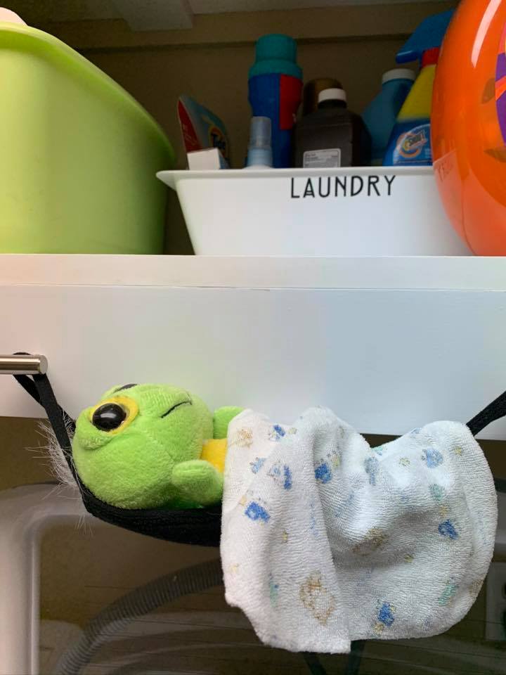 A small green plush toy tucked into a black face mask like a hammock in a laundry room.