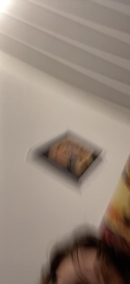 Blurry tilted FaceTime screenshot with part of Tyler’s face visible at the bottom.