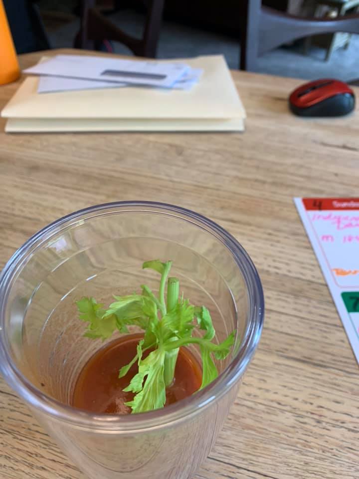 A small green plant cutting growing in a clear cup on a desk beside papers and a computer mouse.