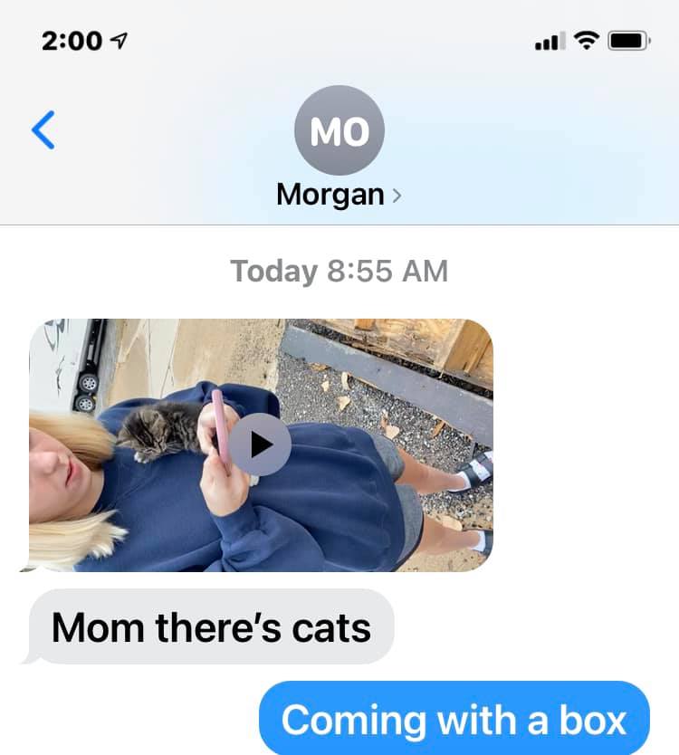 Text-message screenshot showing a video preview and the message, “Mom there’s cats,” followed by “Coming with a box.”