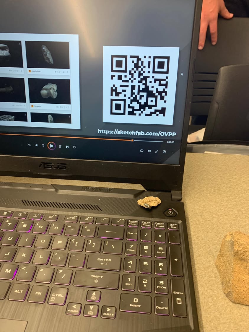 Laptop displaying fossil images and a QR code for the 3D fossil project.